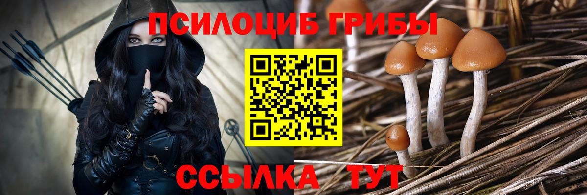 Псилоцибиновые грибы мухоморы Муром